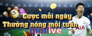 mmlive